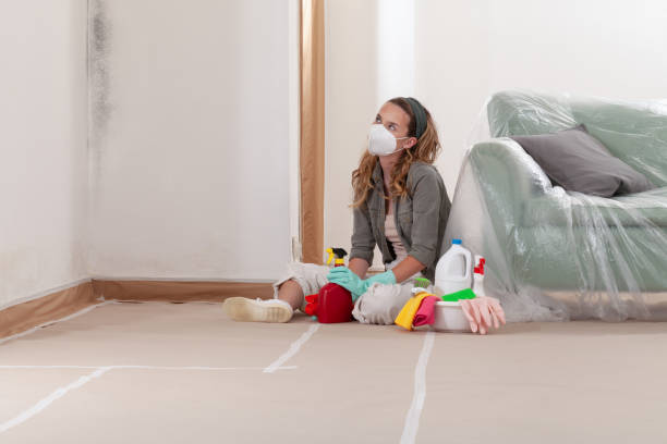 Reliable Mold Remediation contractor in Mount Laurel, NJ by Cheap Mold Removal